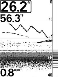  humminbird 323