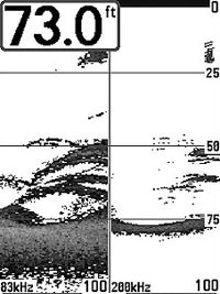  humminbird 323