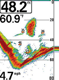  humminbird 343