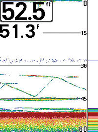  humminbird 343