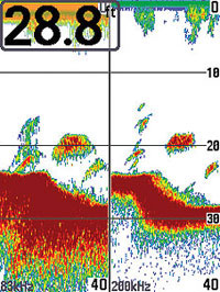  humminbird 343